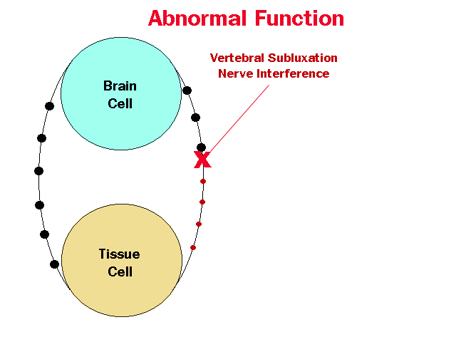 Pain Transmission, how do we feel pain